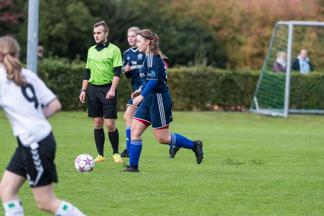 Bild 301 - B-Juniorinnen SV Henstedt Ulzburg - Hamburger SV : Ergebnis: 2:3